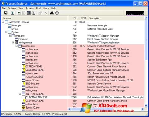 Captură de ecran Process Explorer pentru Windows 10