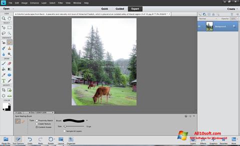 Captură de ecran Photoshop Elements pentru Windows 10