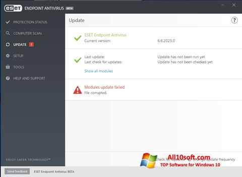 Captură de ecran ESET Endpoint Antivirus pentru Windows 10